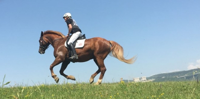  Montar nuestro caballo 