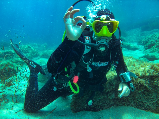  Diving dive in Sardinia 