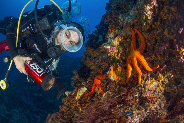  Underwater encounters 