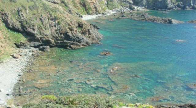  地中海