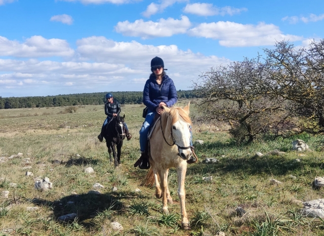  On horseback in the Alta Murgia National Park 