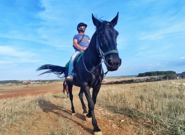  Paseos en el parque 