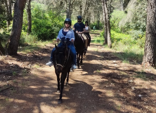  Paseo por el Bosque de Mercadante 