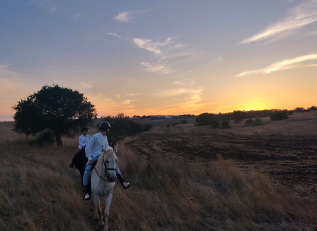 A caballo en el parque 