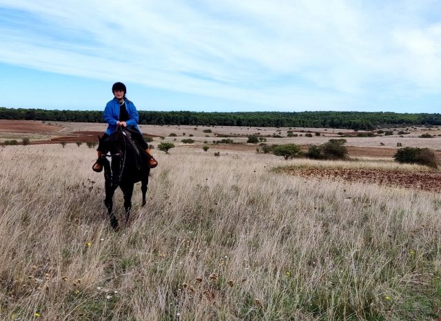  A caballo en el Parque Nacional de Alta Murgia 