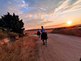 Trekking a cavallo ad Alta Murgia di 4 ore