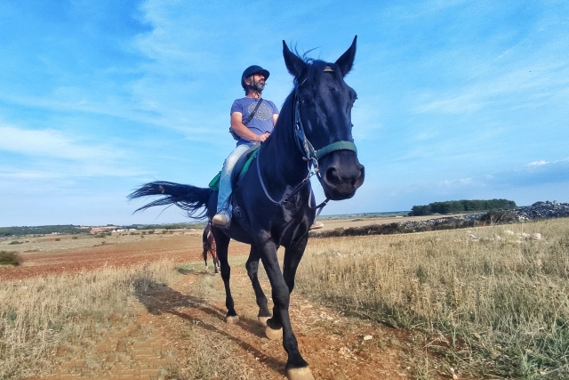  Cabalgatas 
