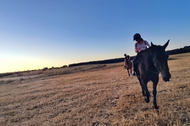  Paseos a caballo por el campo 