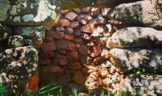 The remains 