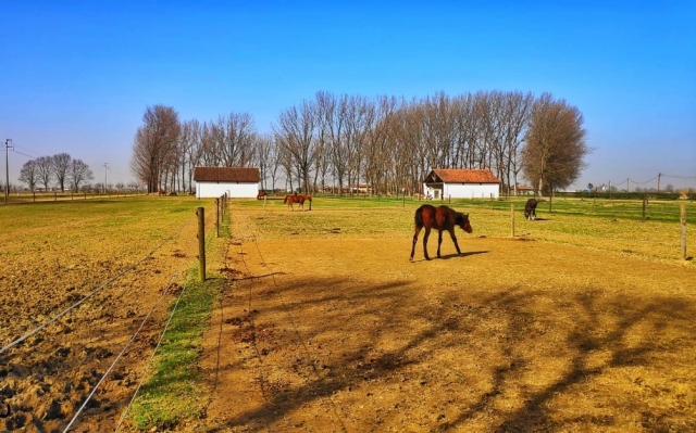  Open Air