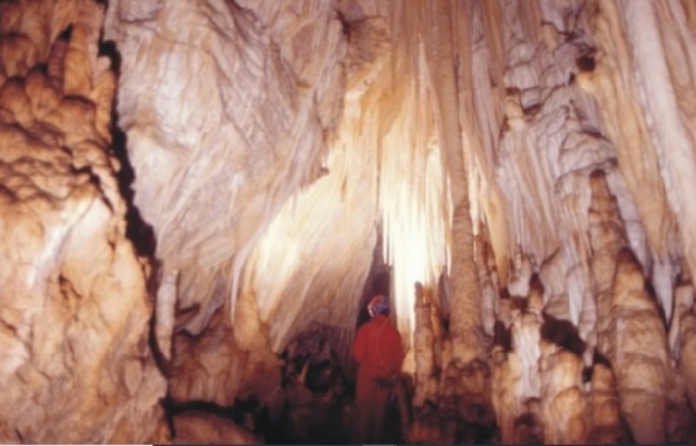  Undergound 