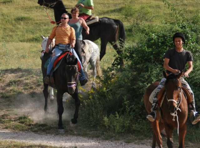  Reiten 