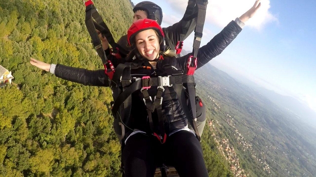 Über das Grün fliegen 