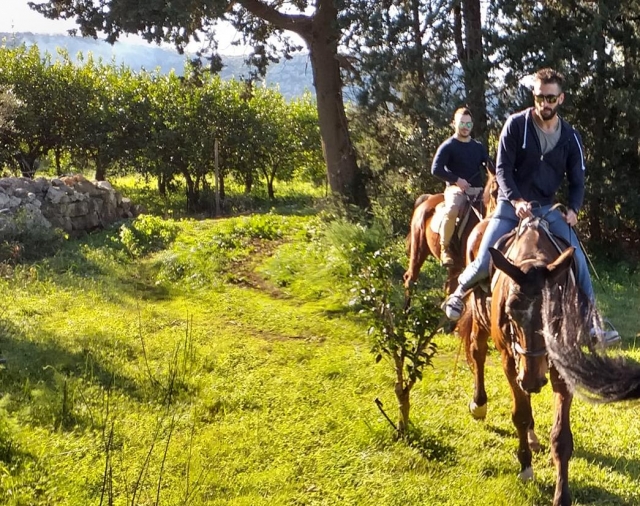 on horseback in nature 