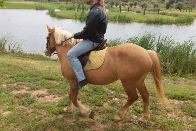  horseback ride 
