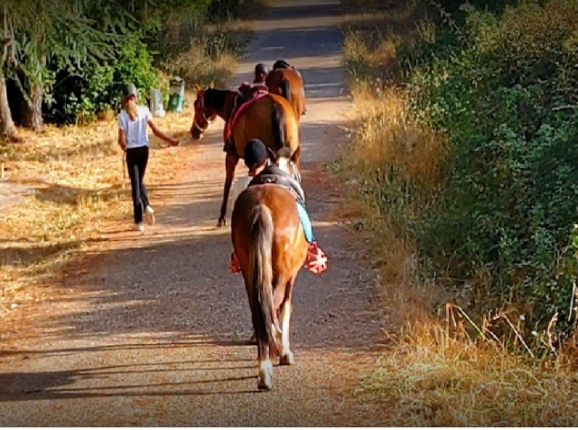 bella passeggiata a cavallo