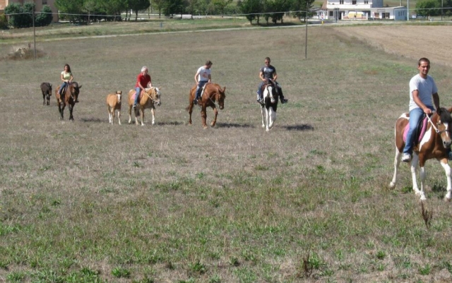  All in the Saddle