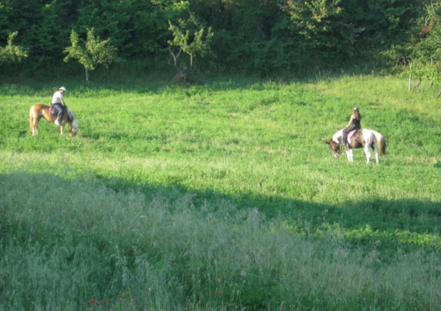 p-71963-a-cavallo_16330208077181.jpg