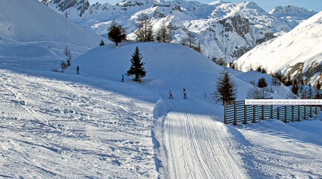 Neve 
