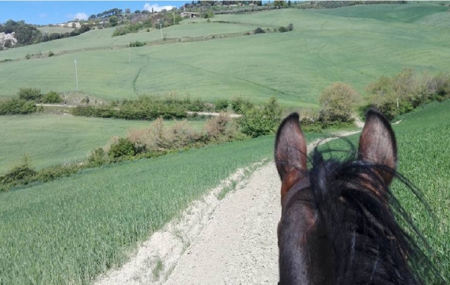 nous aimons le paysage d'orgiaglia 