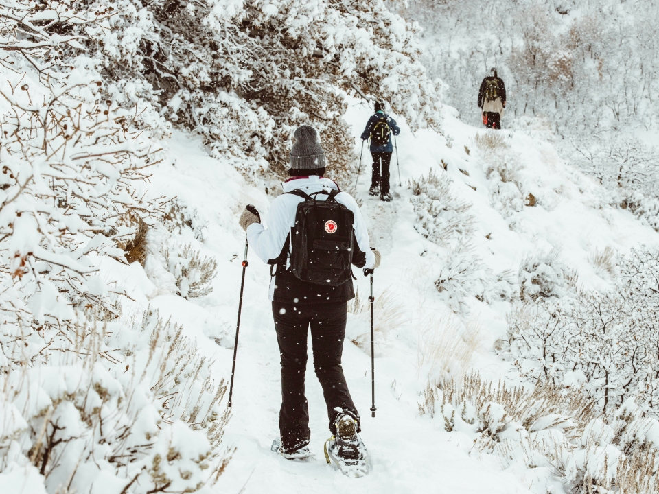  On an excursion among the snow-covered paths 