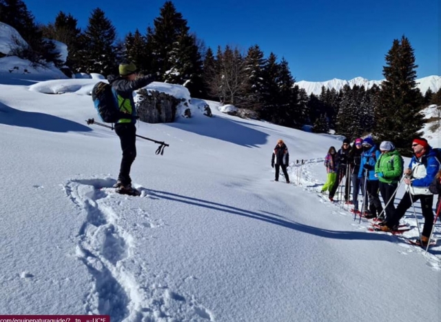  snowshoeing 