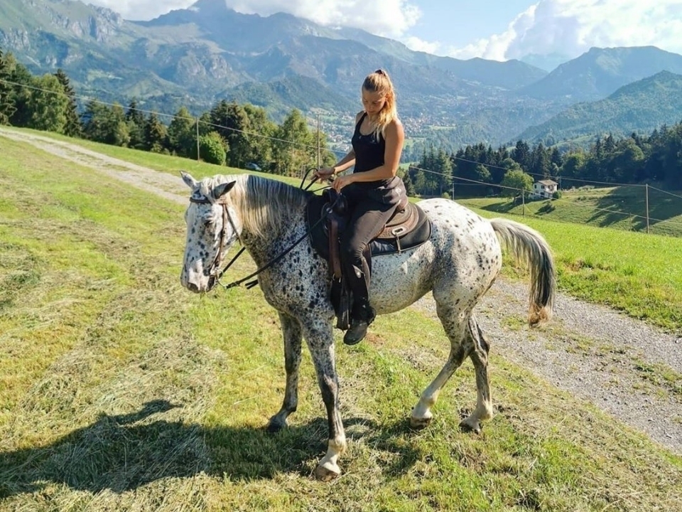 Un de nos chevaux   Un de nos chevaux