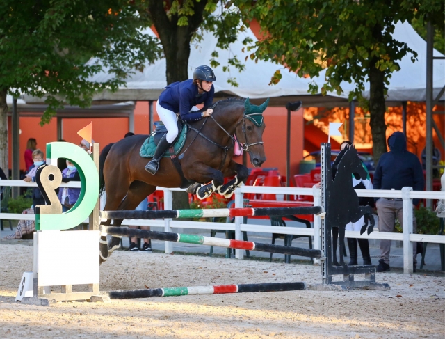  Expert riding lessons 