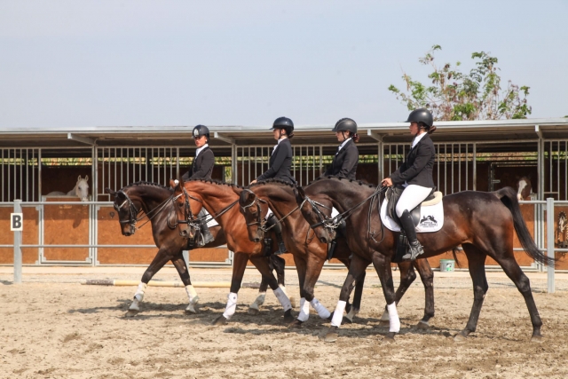 Horse riding lesson 