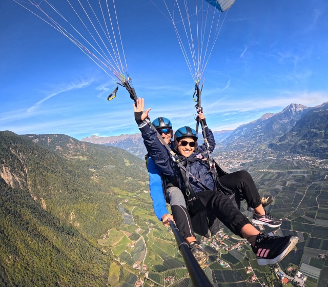 羊毛之上的乐趣 