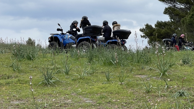 Quad Asfodeli