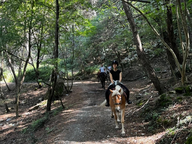 Sentier à travers les bois 