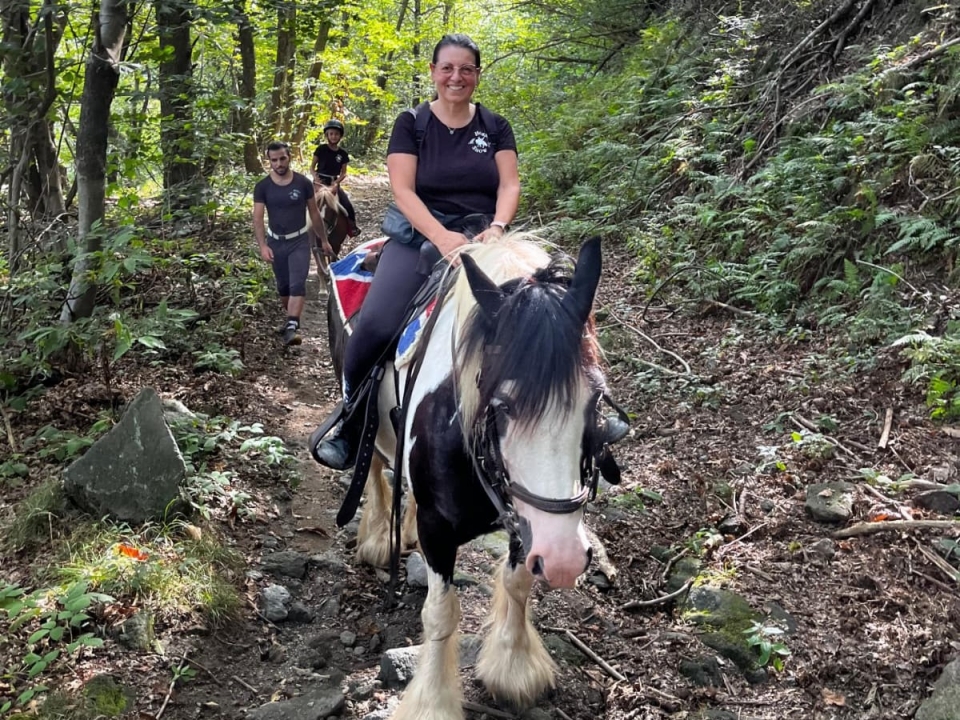  Promenade dans les bois 