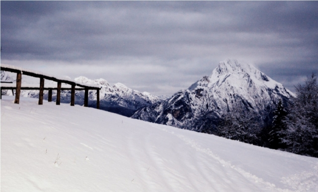  winter in Sappada 