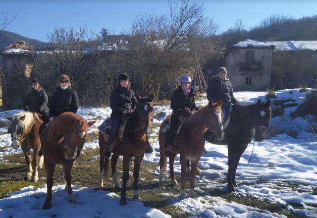  excursión en grupo 