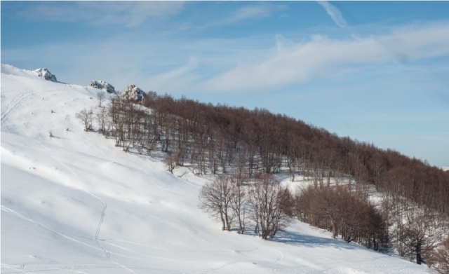  坎皮泰利诺的雪景