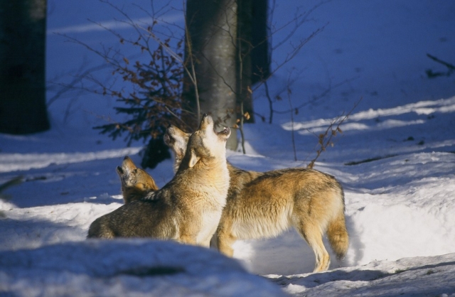  Reuniões durante nossas excursões