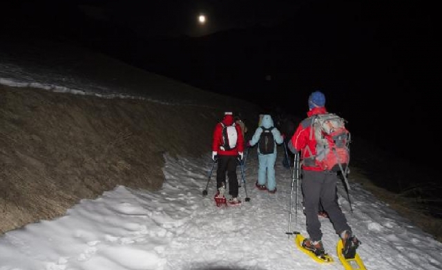 Snowes Night VETAN 