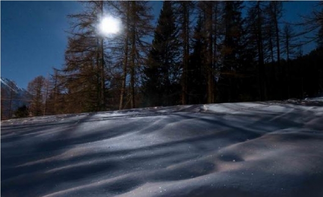 p-73325-neve-risplendente_16384680237314.jpg