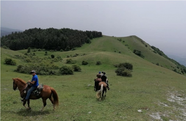  caballos y bellos momentos en rieti 