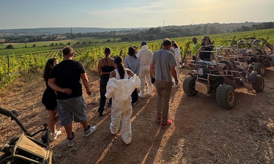 Halten Sie an, um die Landschaft zu bewundern 