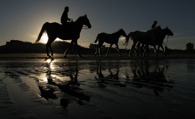  montar a caballo en brindisi 