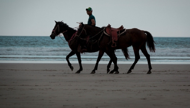  caballos de Apulia 