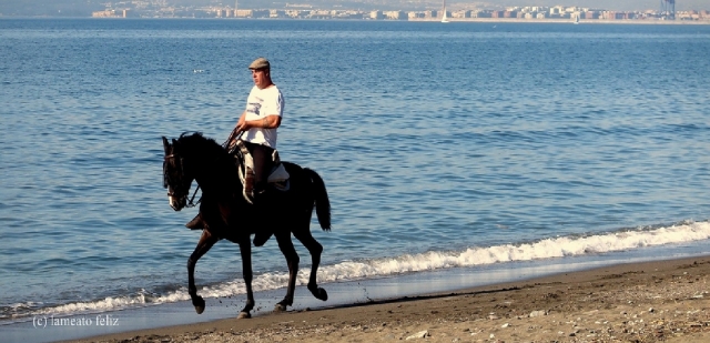  Wandern am Meer