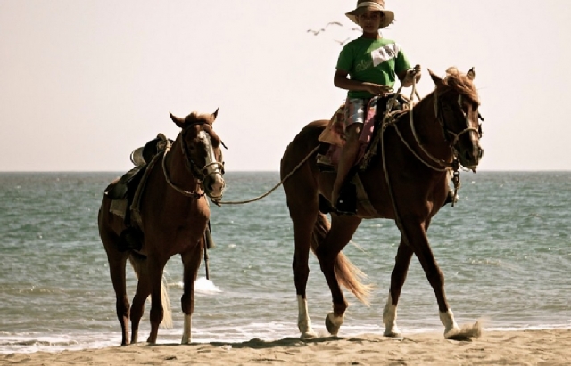 enfants avec des chevaux 