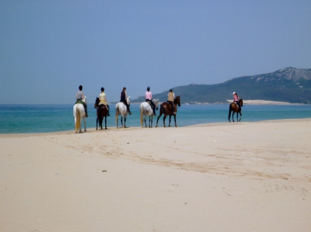  riding near the sea 
