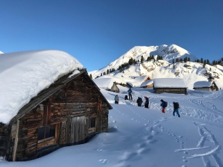 Afternoon snowshoeing in the Brenta Dolomites of 2.45 hours