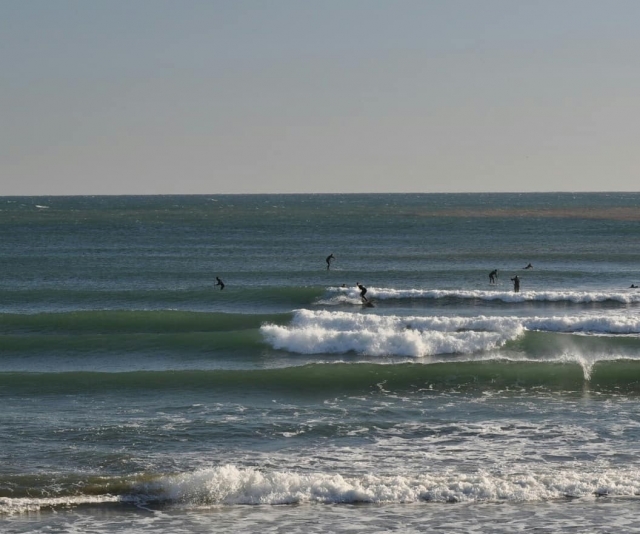 we love surfing lesson 