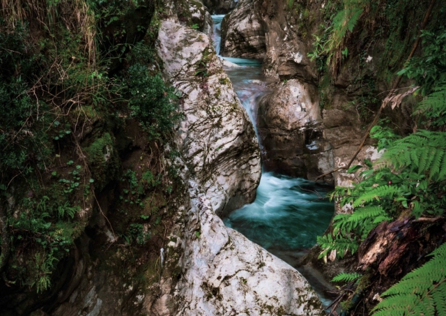  glimpse of the stream