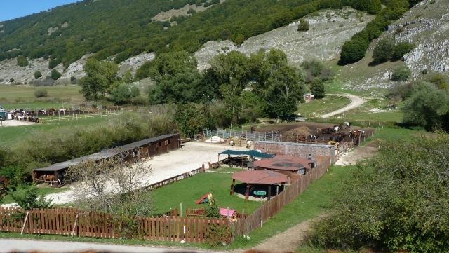  vista aérea de la escuela de equitación 